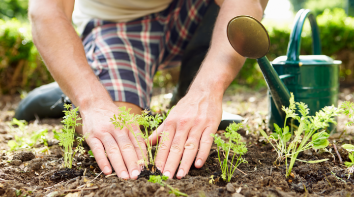 Aprire Impresa di Giardinaggio