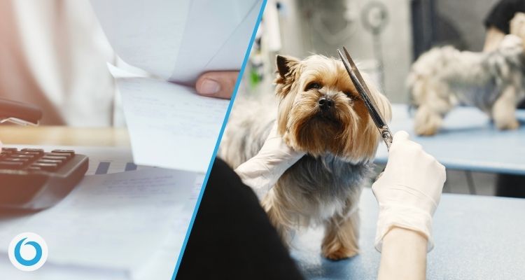 Come preparare una fattura per una toelettatura a domicilio Come