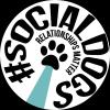 #socialdogs