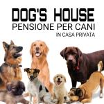 Dogs House Pensione Per Cani
