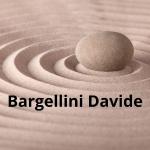Davide Bargellini