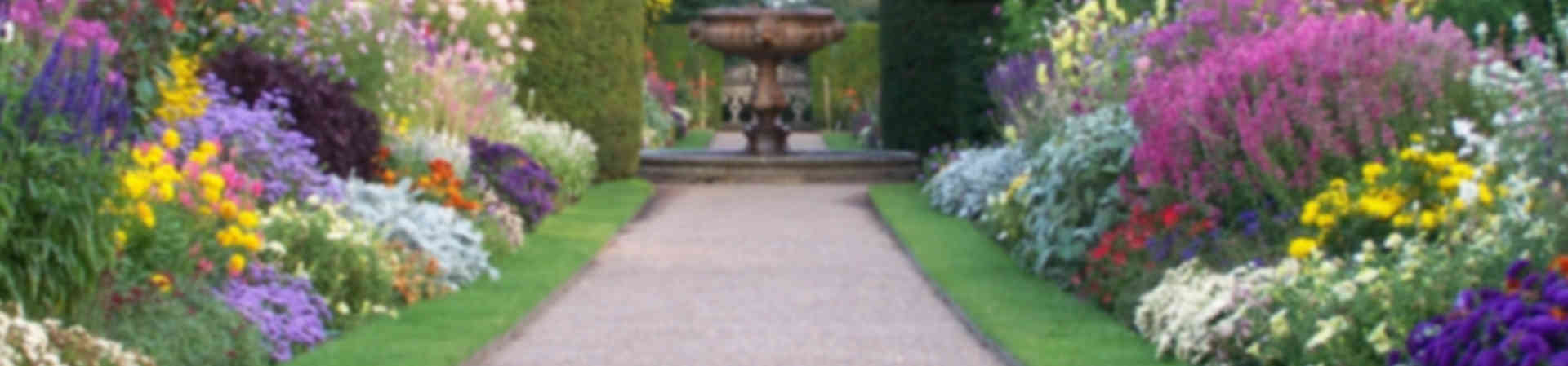 Riparazione di macchine da giardinaggio Riparazione di macchine da giardinaggio
