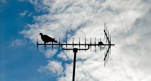 Quanto costa installare una antenna TV?