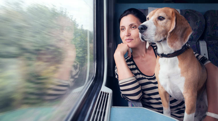 pensioni per cani