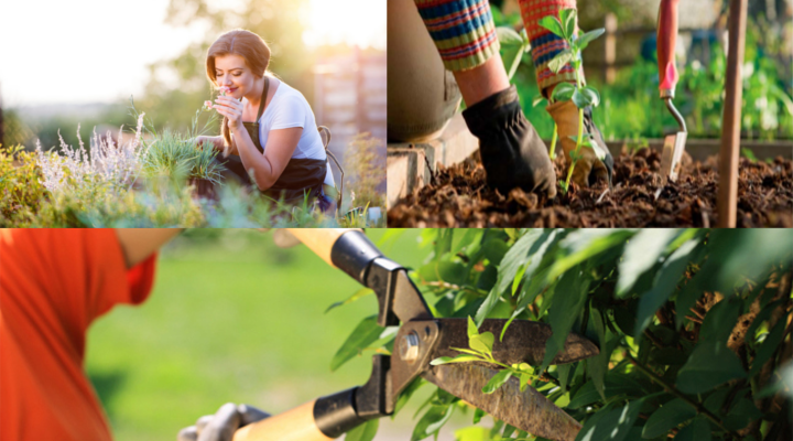 Come ottenere clienti e lavoro come giardiniere 2018 Quanto costa un giardiniere