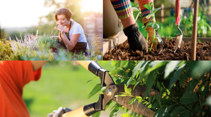 lavoro come giardiniere