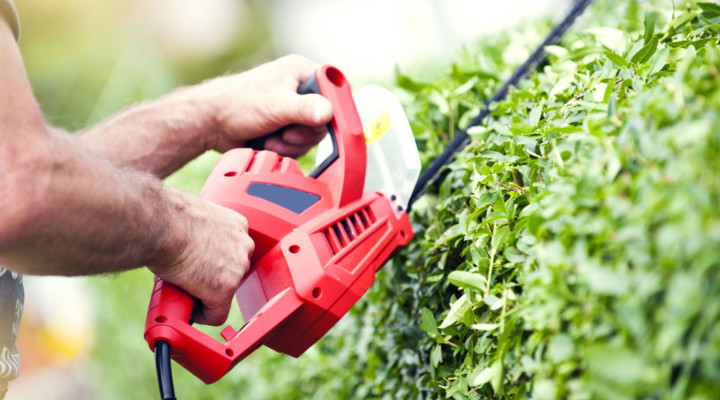 Aprire Impresa di Giardinaggio e lavorare come giardiniere