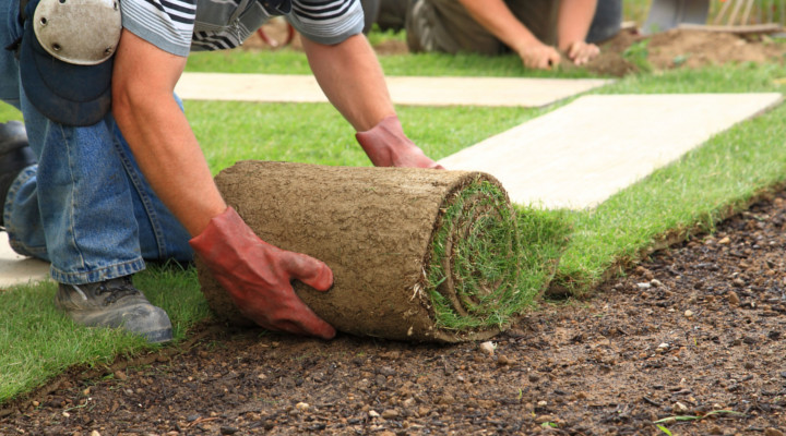 lavorare come giardiniere