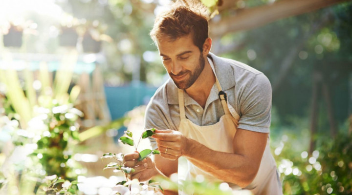 lavoro a ore per giardiniere