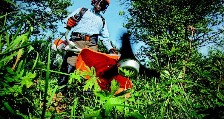 Quanto costa la pulizia del terreno?