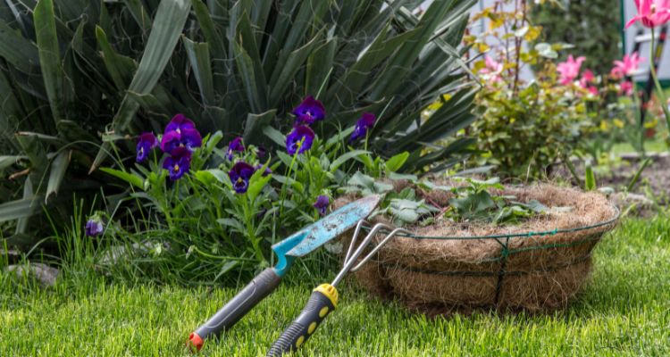 Quanto costa una impresa di giardinaggio? 