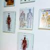 Studio Massaggi Wellness Dott. Mario Orfila