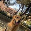 Martina