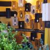 parete curva con cassette legno per expo vini