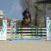 Sport - Equestre