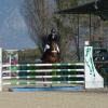 Sport - Equestre
