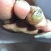 Pedicurista Callista Anna Estetica Charming