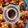Macro Shot