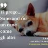 Luca Alberto