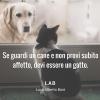 Luca Alberto