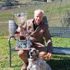 Pensione Per Cani Casale S. Antonio