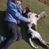 Pensione Per Cani Casale S. Antonio