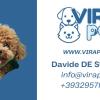 Virapet Di De Summa Davide