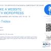 Realizzazione siti web con WordPress