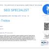 SEO Specialist