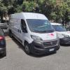 Maccarrone Pasquale Trasporti