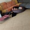 Ceres - Border collie tenuto per 2 giorni