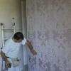 Emmegi Service Trattamento Antimuffa Completamento E Finitura Ambienti...