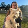 Charlotte, west highland white terrier, 9 anni