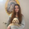 Sissi, barbone mini toy, 3 anni