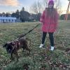 Brunilde, boxer, 10 anni
