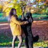 Russell, barbone grande mole, 4 anni