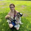 Pepita e Olli, Shi Tzu, 14 anni e 8 mesi