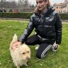 Bobo, meticcio, 12 anni