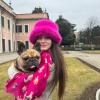 Gerry, bulldog francese, 5 anni