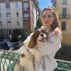 Vinni, Cavalier King Charles spaniel, 3 anni