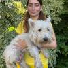 Charlotte, West Highland White Terrier, 10 anni