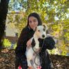 Otto, jack russell, 6 mesi