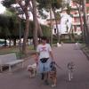 Daniele