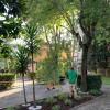 Sunday Garden