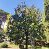 Sunday Garden