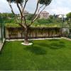 Sunday Garden