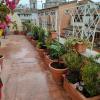 Sunday Garden