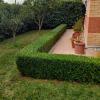 Sunday Garden