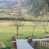 Sunday Garden