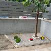 Sunday Garden